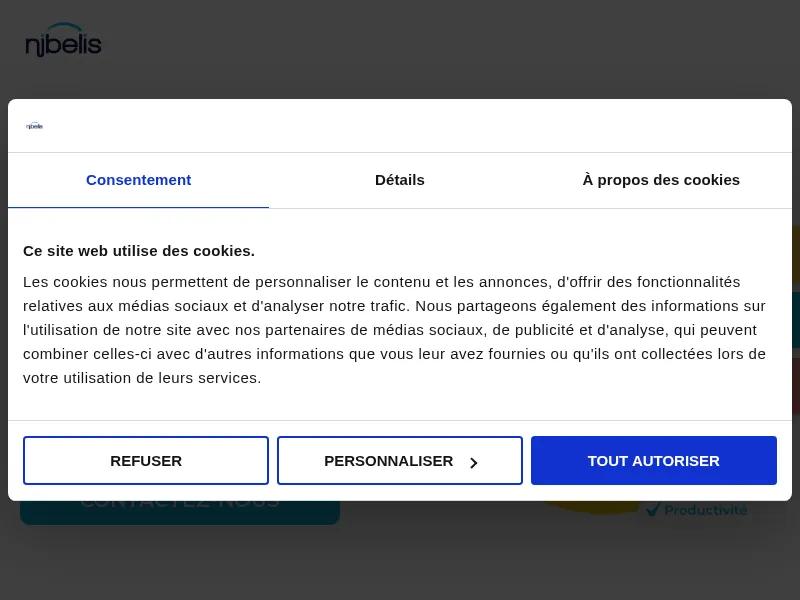 Aperçu de l'interface Nibelis