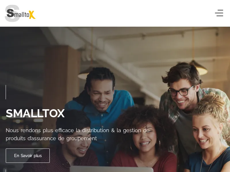 Aperçu de l'interface Smalltox